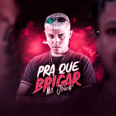 Pra Que Brigar - Single