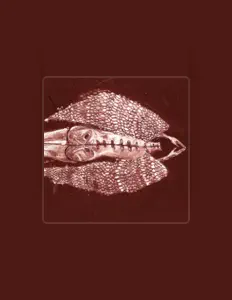 Listen to Cerberus Shoal, watch music videos, read bio, see tour dates & more!