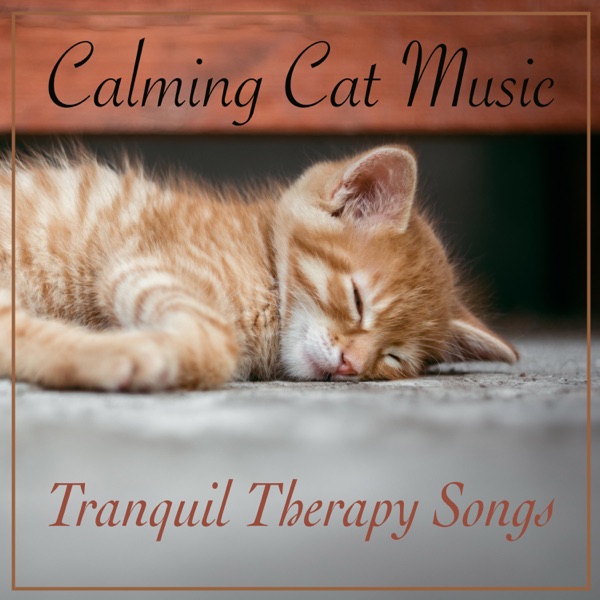 Calming Cat Music: Tranquil Therapy Songs