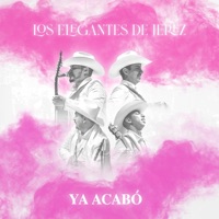 Ya Acabó - Single - Los Elegantes de Jerez