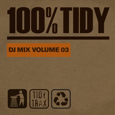 100% Tidy, Vol. 3