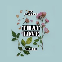That Love (feat. Shaleh) - Single - DJ Diverse