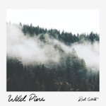 Rod Coote - Wild Pine