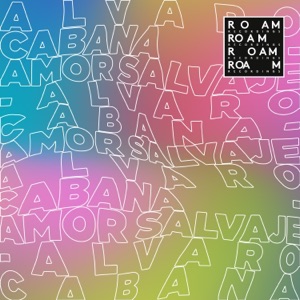 Amor Salvaje (feat. Snem K)
