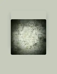 收听 IZ、观看音乐视频、阅读小传、查看巡演日期等 ！