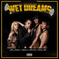 Wet Dreams - Single - Sonik 420, Giselle Montes & Mia Marin
