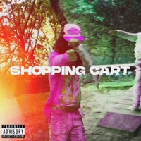 Shopping Cart - Single - Adjacen7