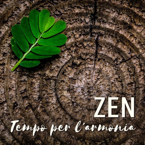 ZEN: Tempo per l'armonia - Guarigione dei chakra, Alleviare lo stress, Dormire, Rilassamento completo