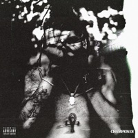 Phases - Single - Champion DI