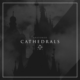Cathedrals ANATOMOD