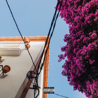 Meadow - Single
