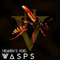 Wasps - Single - Heaven's Void
