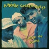 Check The Rhime (Mr. Muhammad's Mix) cover art