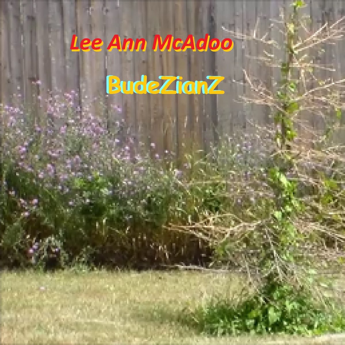 Lee Ann McAdoo - Single by Budezianz on Apple Music