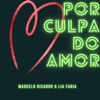Por Culpa do Amor