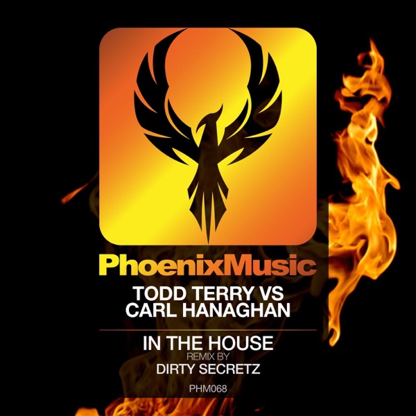 In the House (Dirty Secretz Remix) - Single