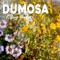 Black Sage - Dumosa lyrics