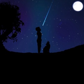 Night Bird (1h33) NKZ