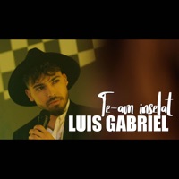 Te - Am Inselat - Single - Luis Gabriel