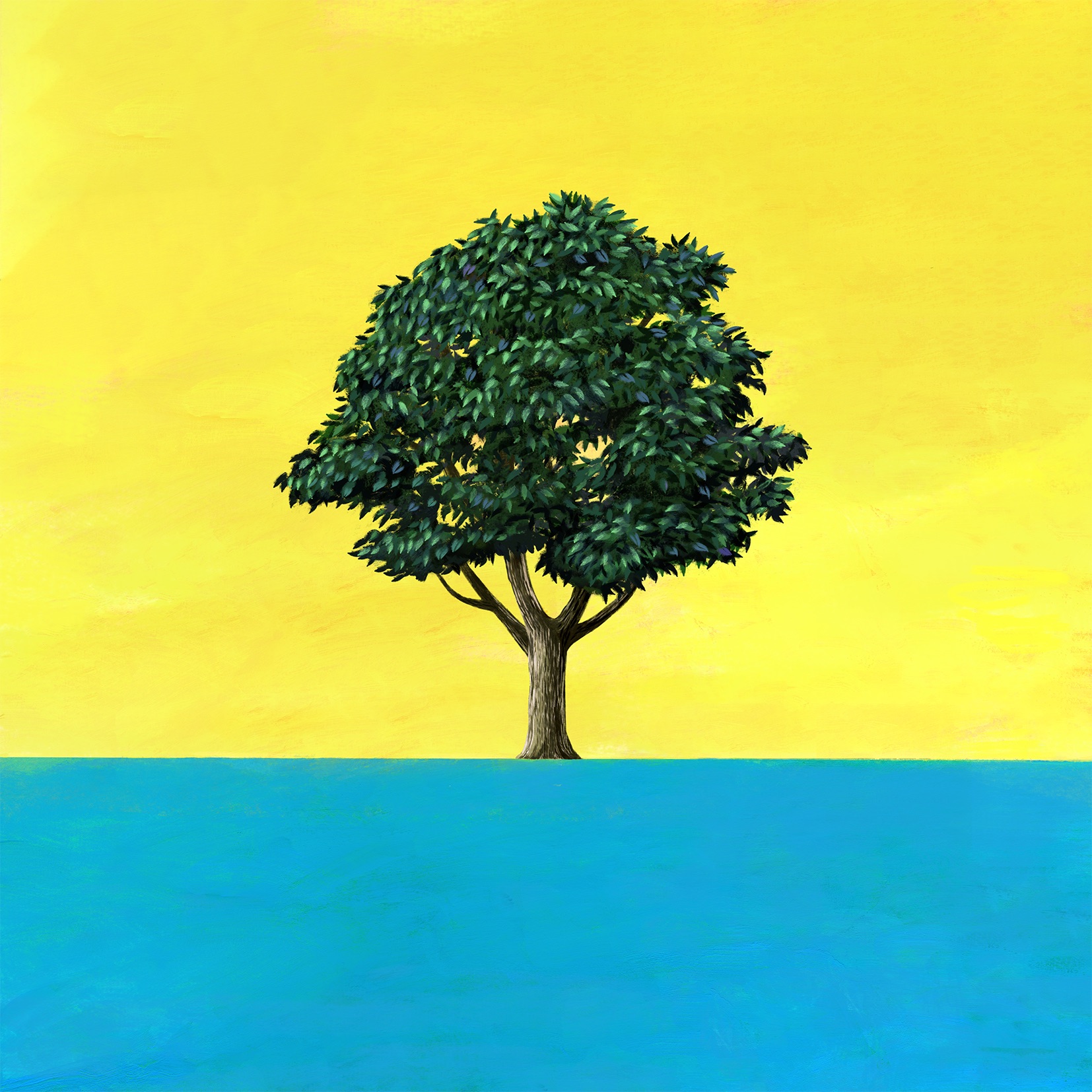 CUBERS - Asia no Junshin