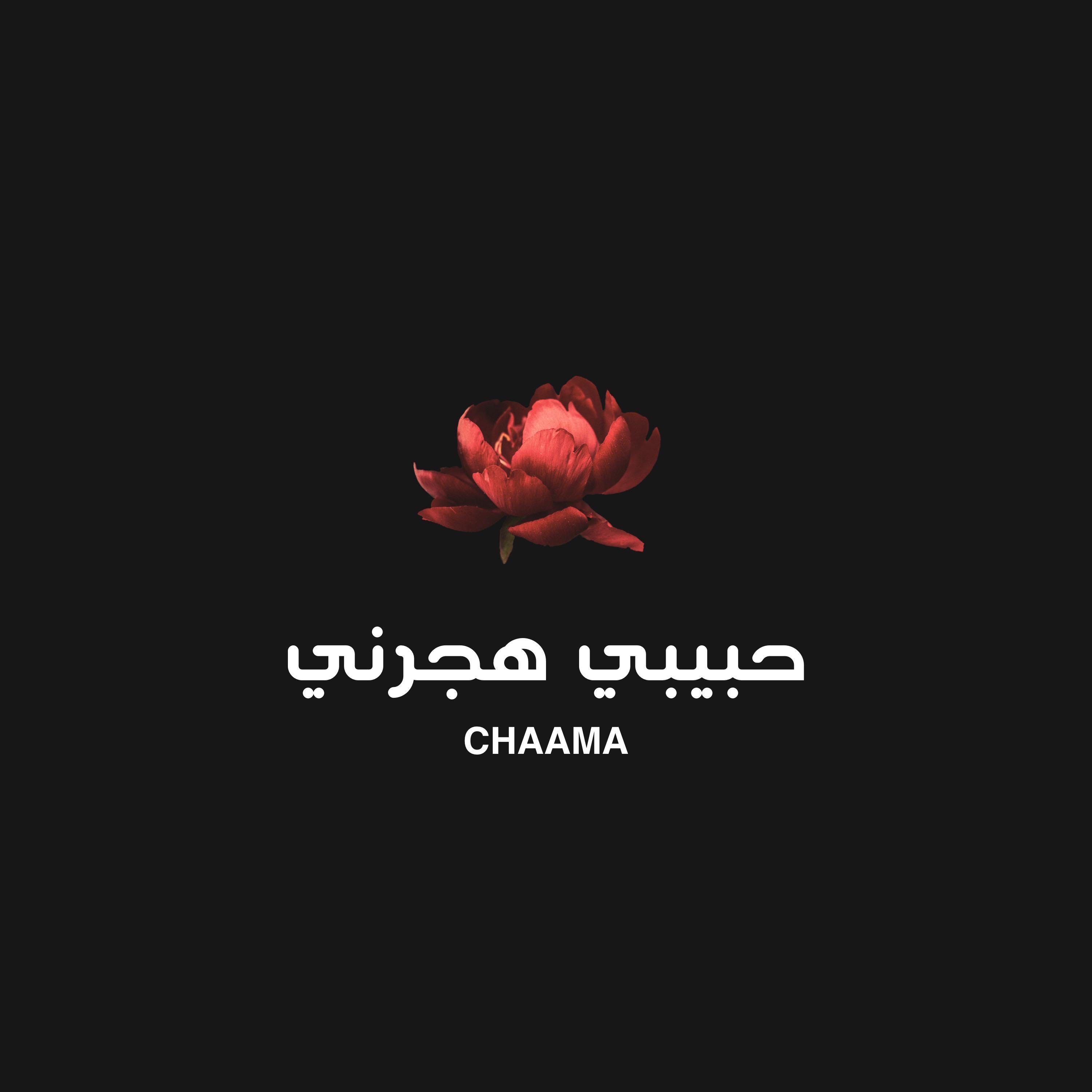 حبيبي هجرني - Single