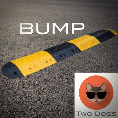 Bump - Single
