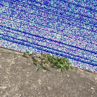 Splendid - Single - Ace el Rahim