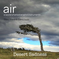 Desert Sadness - Single - Theo Travis & Garry Judd