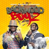 Backwood Boyz artwork
