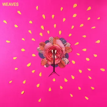 Weaves album cover