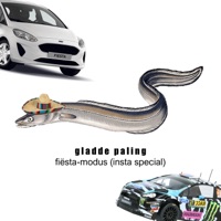 Fiësta-Modus (Insta Special) - Single - gladde paling