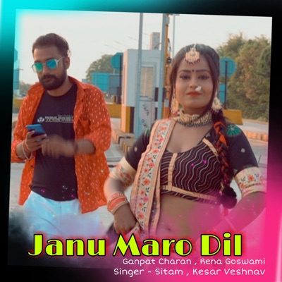 Janu Maro Dil (feat. Ganpat Charan, Rena Goswami, Sitam & Kesar Vaishnav) - Single
