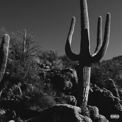 Picture Perfect (feat. Lev$) - Single