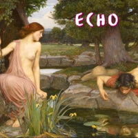 Echo (feat. Rana) - Single - B1NGO