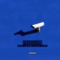Freedumb (feat. Solomon Childs & Yodi the K.G.) - Single - U B O