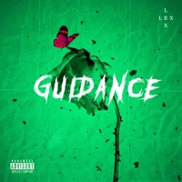 Guidance - Single - LEX