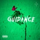 Guidance Single