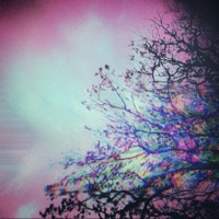 Post Gxd Dream (feat. Neyram) - Single - Ron Solemn