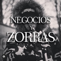 Negocios & Zorras (feat. Totaim) - Single - Drk Rodriguez