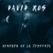 Després de la Tempesta artwork