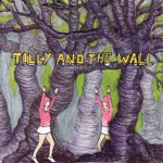 Tilly and the Wall - Perfect Fit