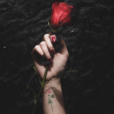 Dziary (Arlen Bales) - Single