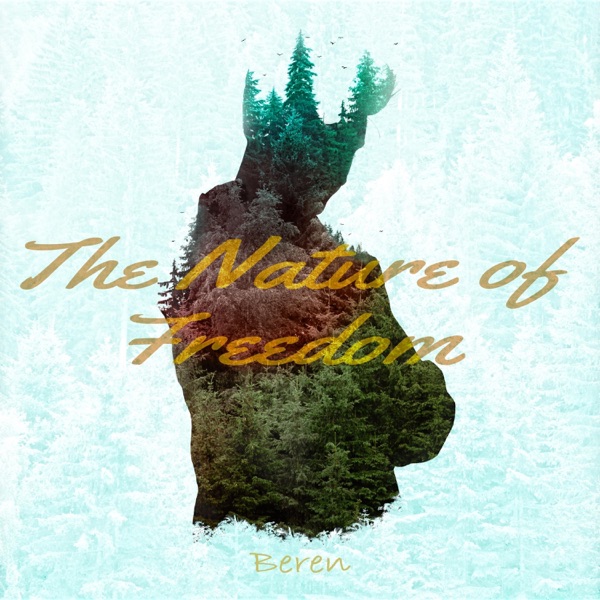 The Nature Of Freedom