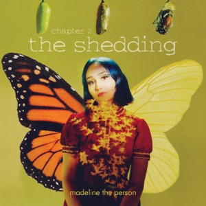 Chord Gitar Haunted - Madeline The Person