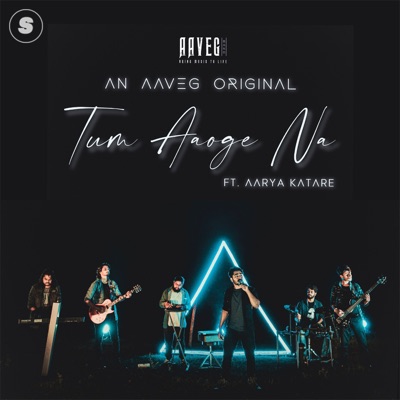 Tum Aaoge Na (feat. Aarya Katare) - Single
