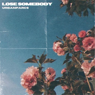 Lose Somebody - Single