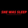 She Was Sleep (feat. Johnny Burnett) - Single