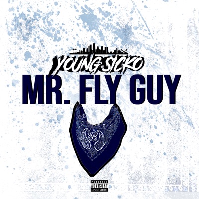 MR. FLY GUY - Single
