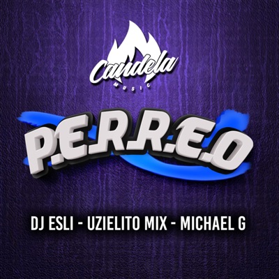 Perreo (feat. Dj Esli & Michael G) - Single