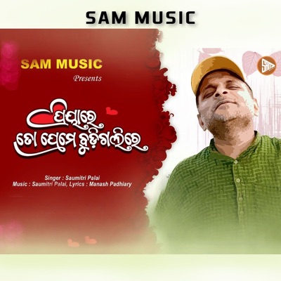 Priya Re To Preme Budigali Re - Single